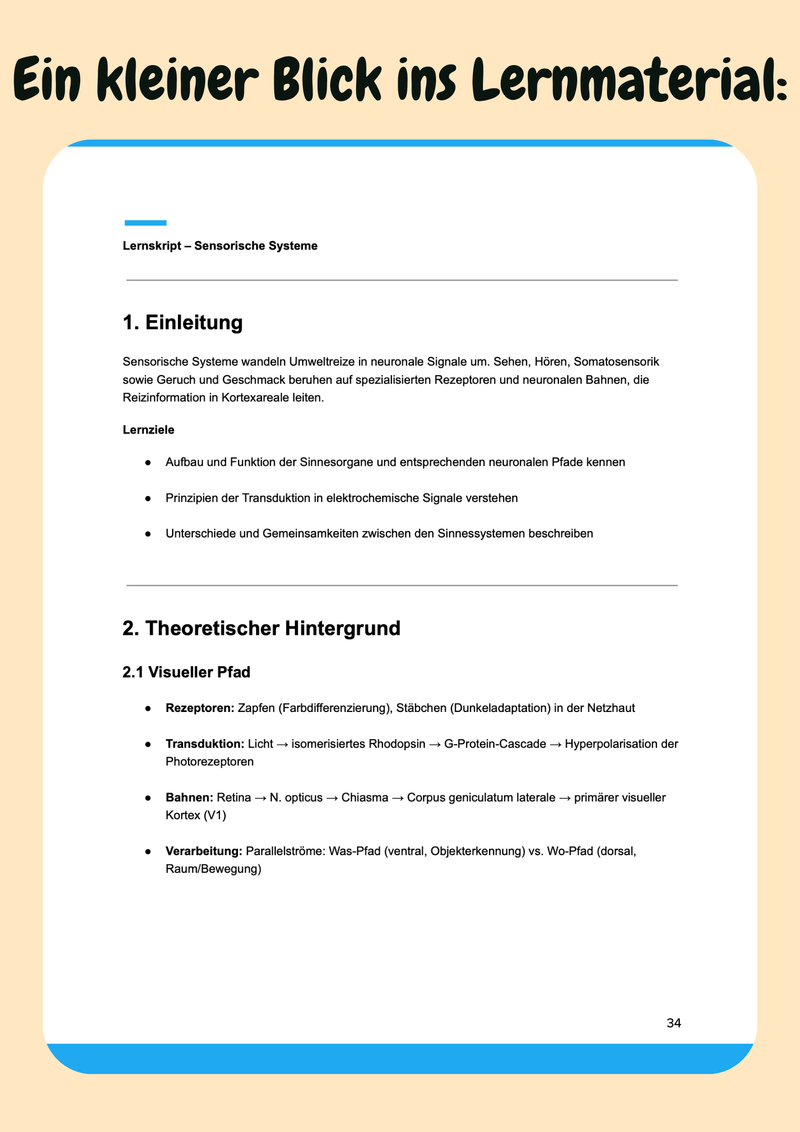 Neuropsychologie – Gehirn, Verhalten & Kognition im Psychologie-Bachelor verstehen Bild 5