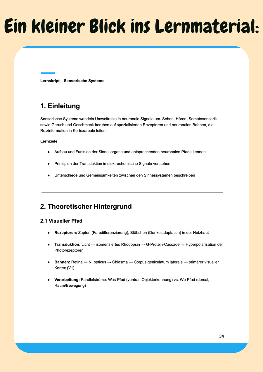 Neuropsychologie – Gehirn, Verhalten & Kognition im Psychologie-Bachelor verstehen – Bachelor Psychologie Vorschau 5