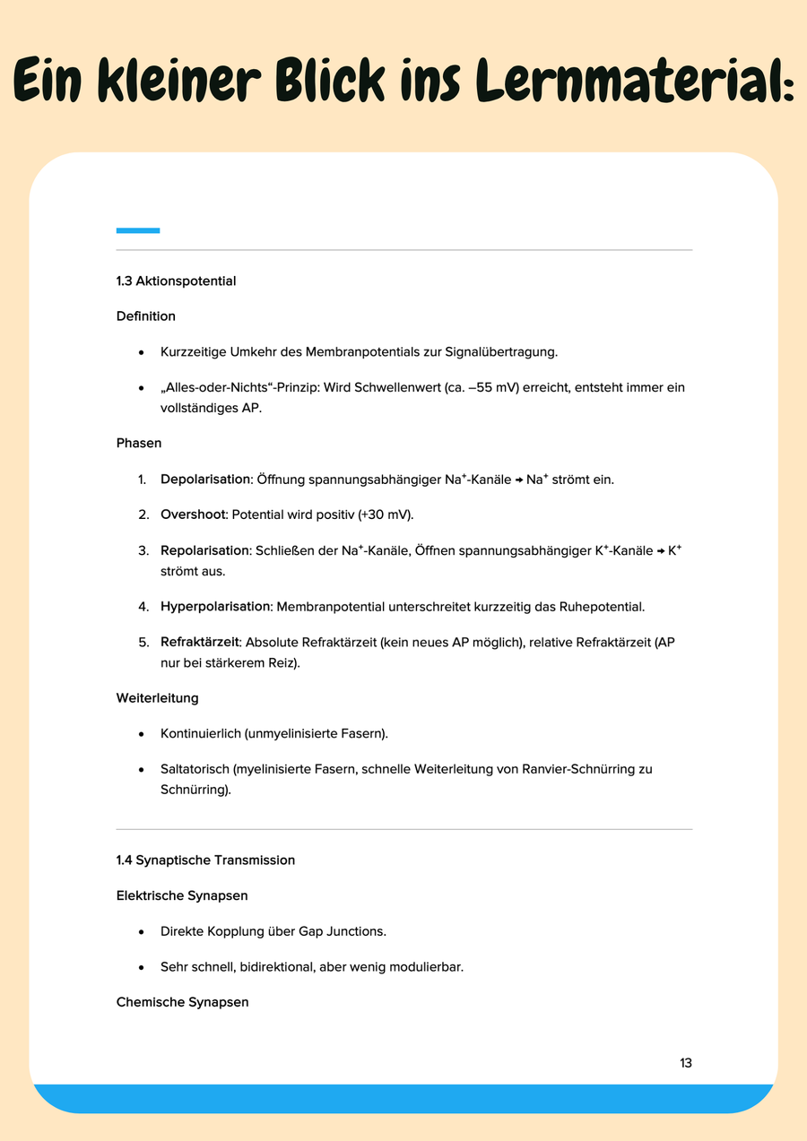 Biologische Psychologie – Neurophysiologische, endokrinologische & genetische Grundlagen psychologischer Prozesse – Bild 5