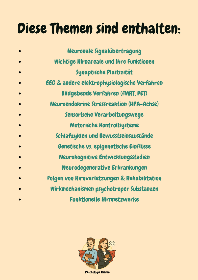 Neuropsychologie – Gehirn, Verhalten & Kognition im Psychologie-Bachelor verstehen Bild 3